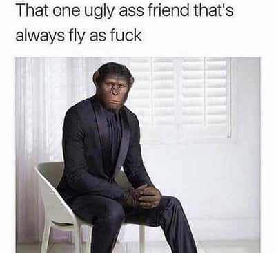 Random Memes