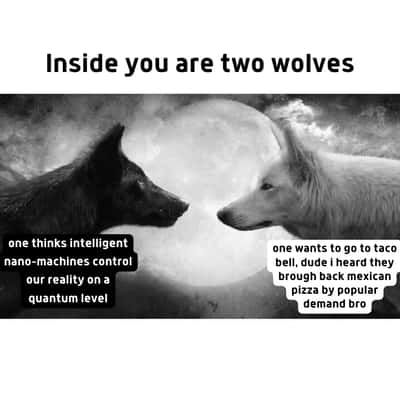 Two wolves meme one overthinks quantum reality the other just wants Taco Bell mexican pizza