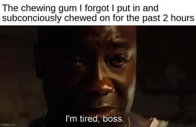 Random Memes