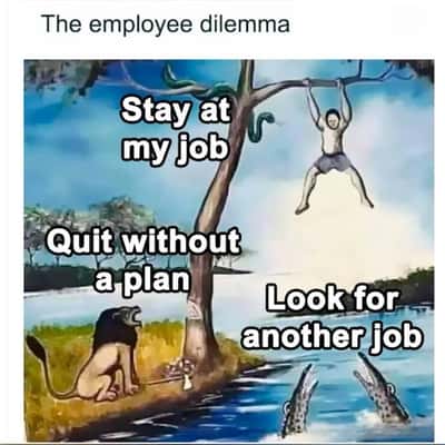 Random Memes