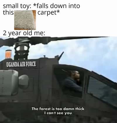 Random Memes