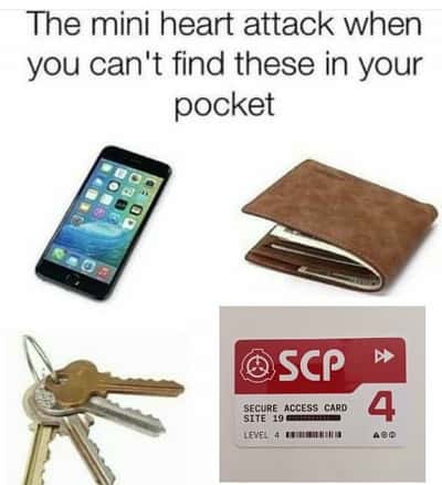 Random Memes
