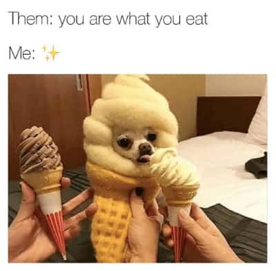 Random Memes