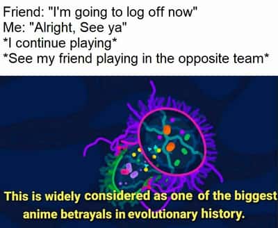 Random Memes