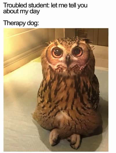 Random Memes
