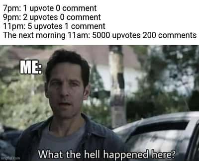 Random Memes
