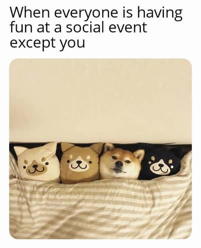 Random Memes