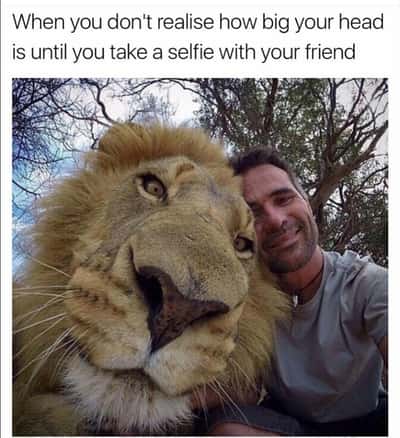 Random Memes