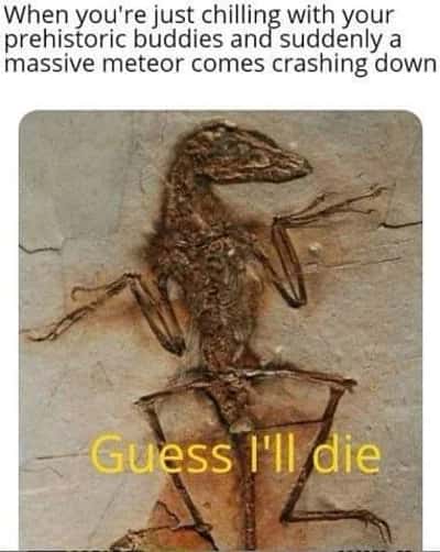 Random Memes