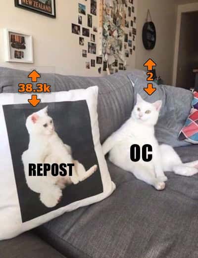 Random Memes