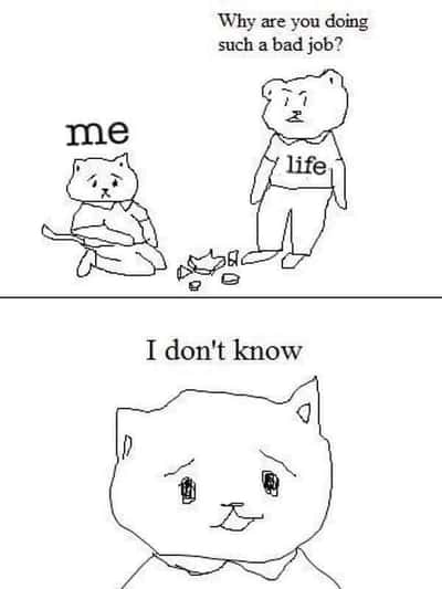 Random Memes