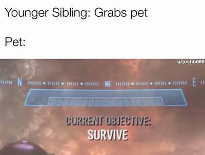 Random Memes