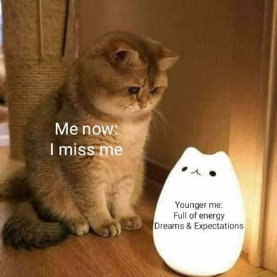 Random Memes
