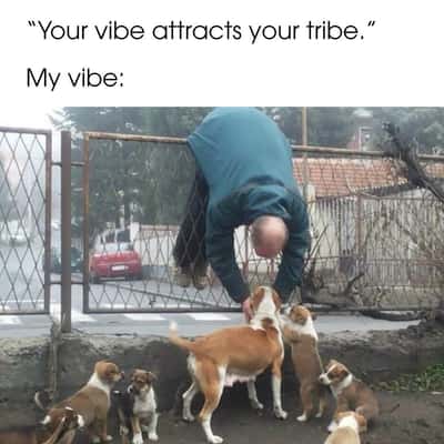 Random Memes