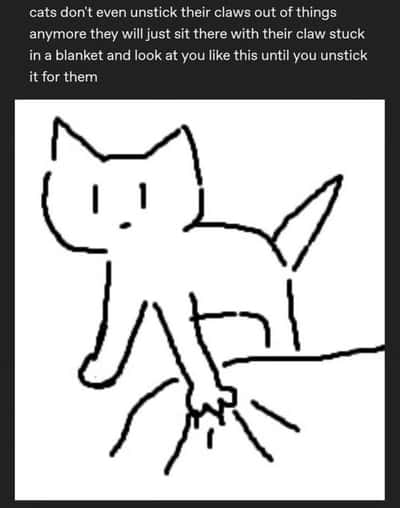 Random Memes