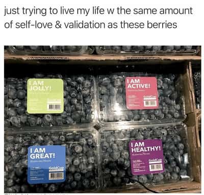 Random Memes