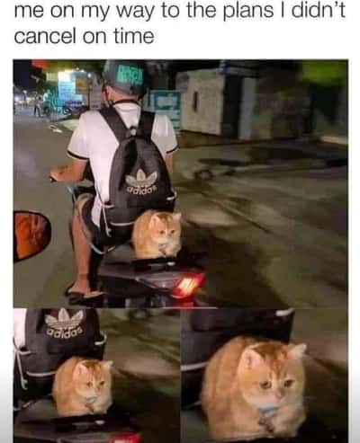 Random Memes