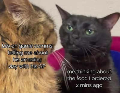 Random Memes