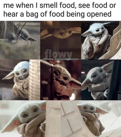 Random Memes