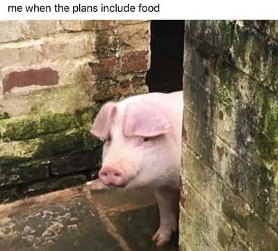 Random Memes
