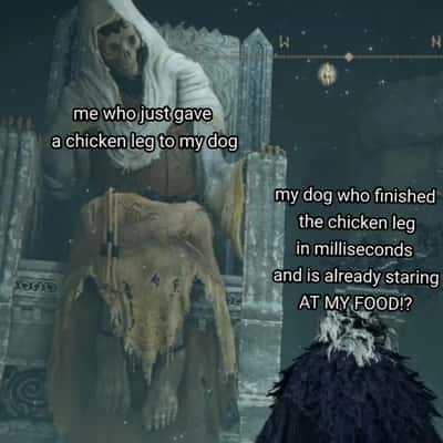 Random Memes