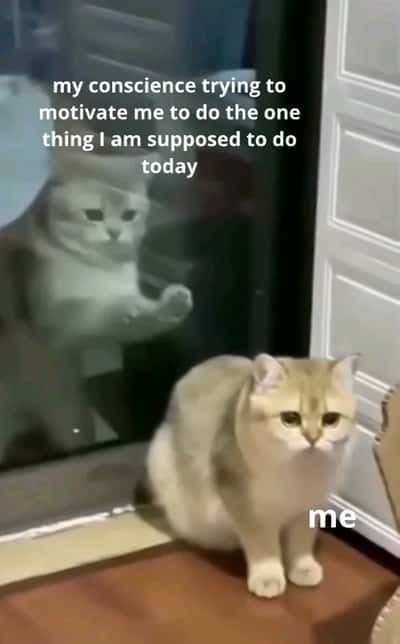 Random Memes