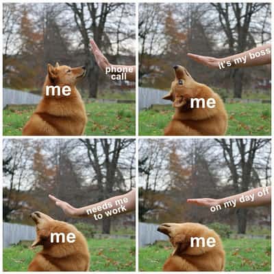Random Memes