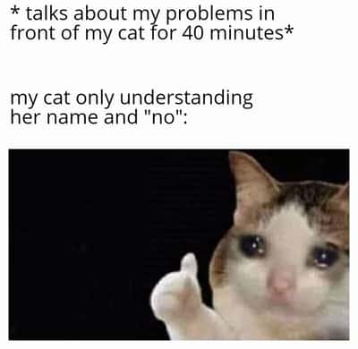 Random Memes