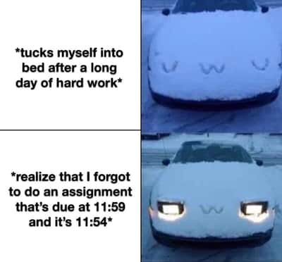 Random Memes