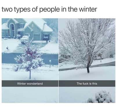 Random Memes
