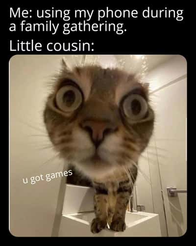 Random Memes