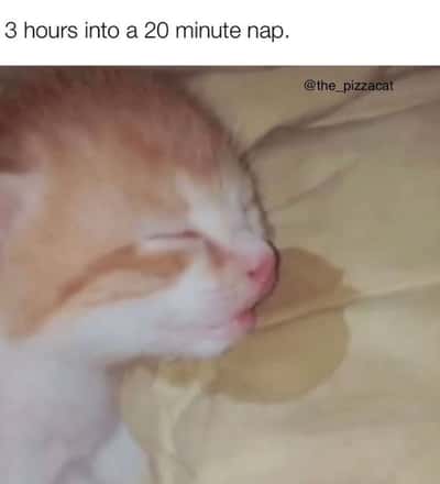 Random Memes