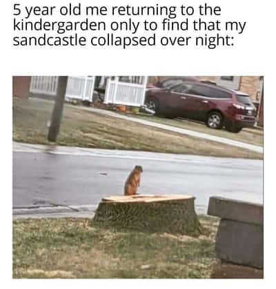 Random Memes