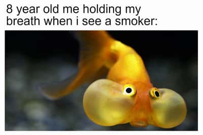 Random Memes