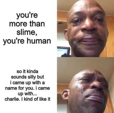 Black man crying meme about giving a slime the name Charlie