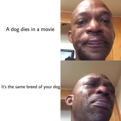 Black man crying meme about a movie dog dying same breed as yours