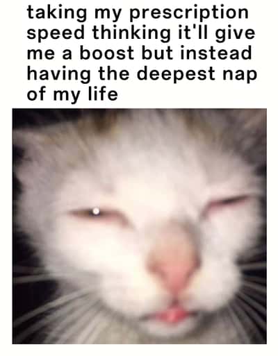 Squinting cat meme taking prescription speed for a boost then having the deepest nap