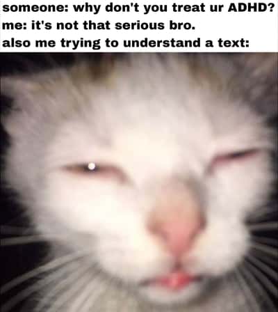 Squinting cat meme struggling to understand text while claiming adhd is not that serious