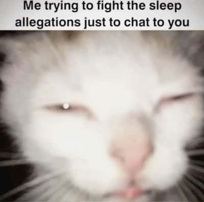 Squinting cat meme fighting sleep allegations just to stay awake to chat to you