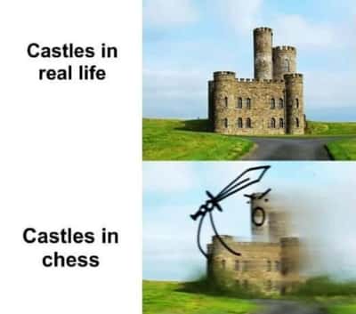 Random Memes