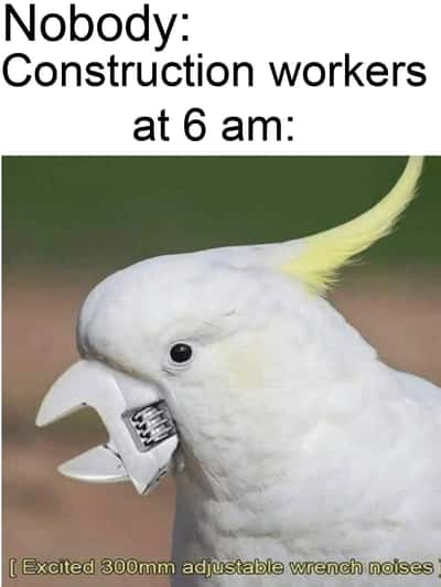Random Memes