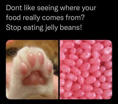 Random Memes