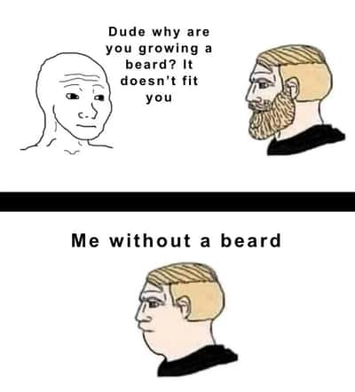 Random Memes