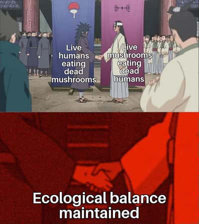 Random Memes