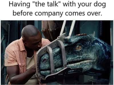 Jurassic World raptor dog meme getting the serious pre-company behavior talk