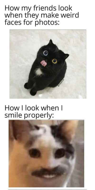 Random Memes
