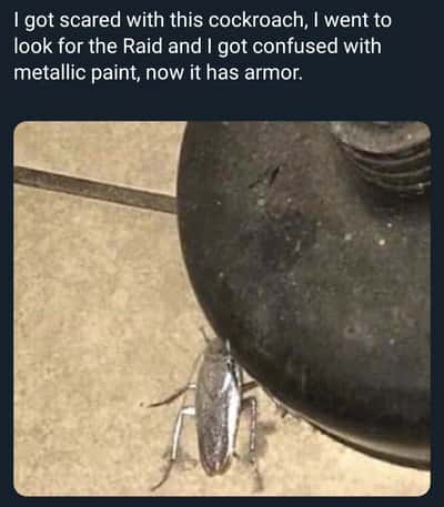 Random Memes