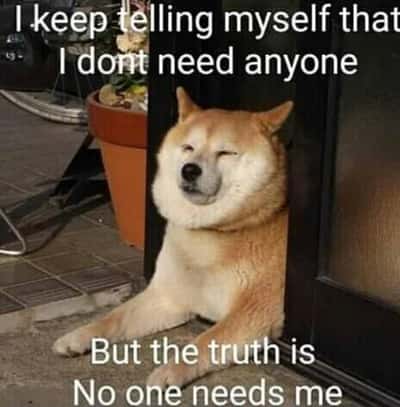 Random Memes