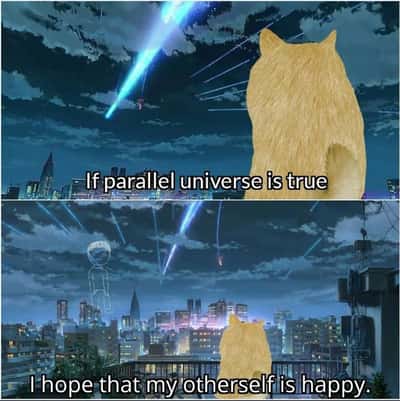 Backwards fluffy golden dog meme watching falling comets wish his parallel self is happy
