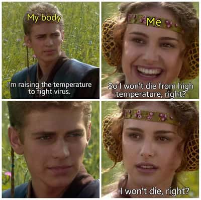 Random Memes
